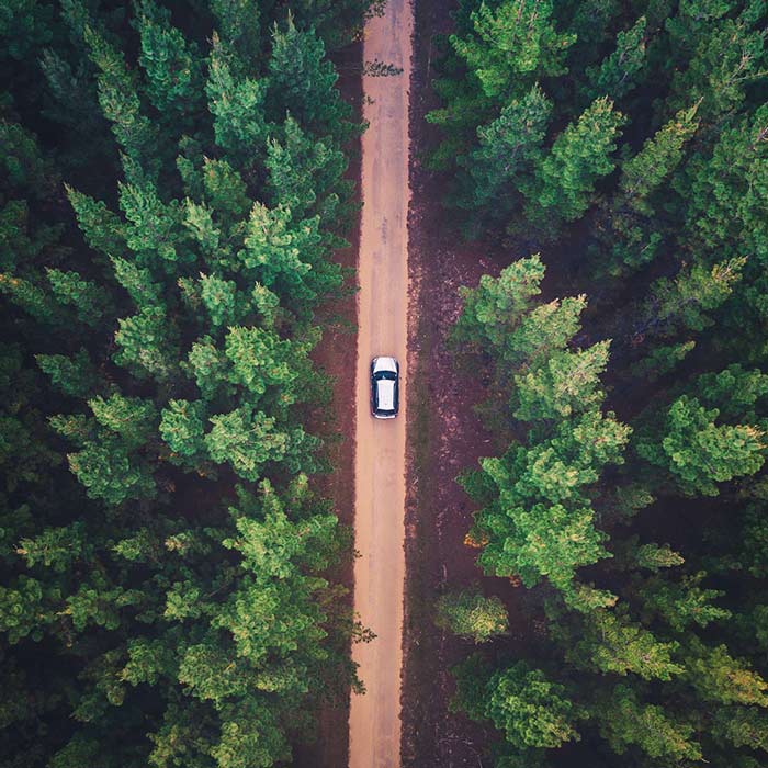 SUV driving through a road, showcasing off-road capability & scenic nature in Timonium, MD.